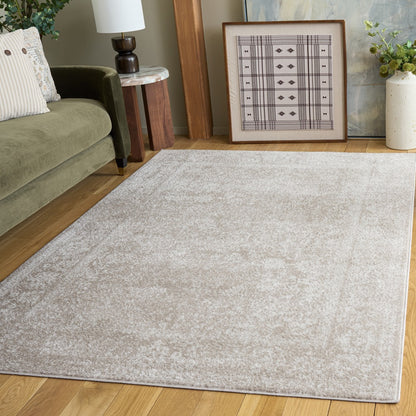 Safavieh - Adirondack  109E Beige Taupe - 9" X 12" - ADR109E-9 view 2