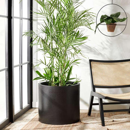 Safavieh - Alia Planter - Black - PAT1517A veiw 2