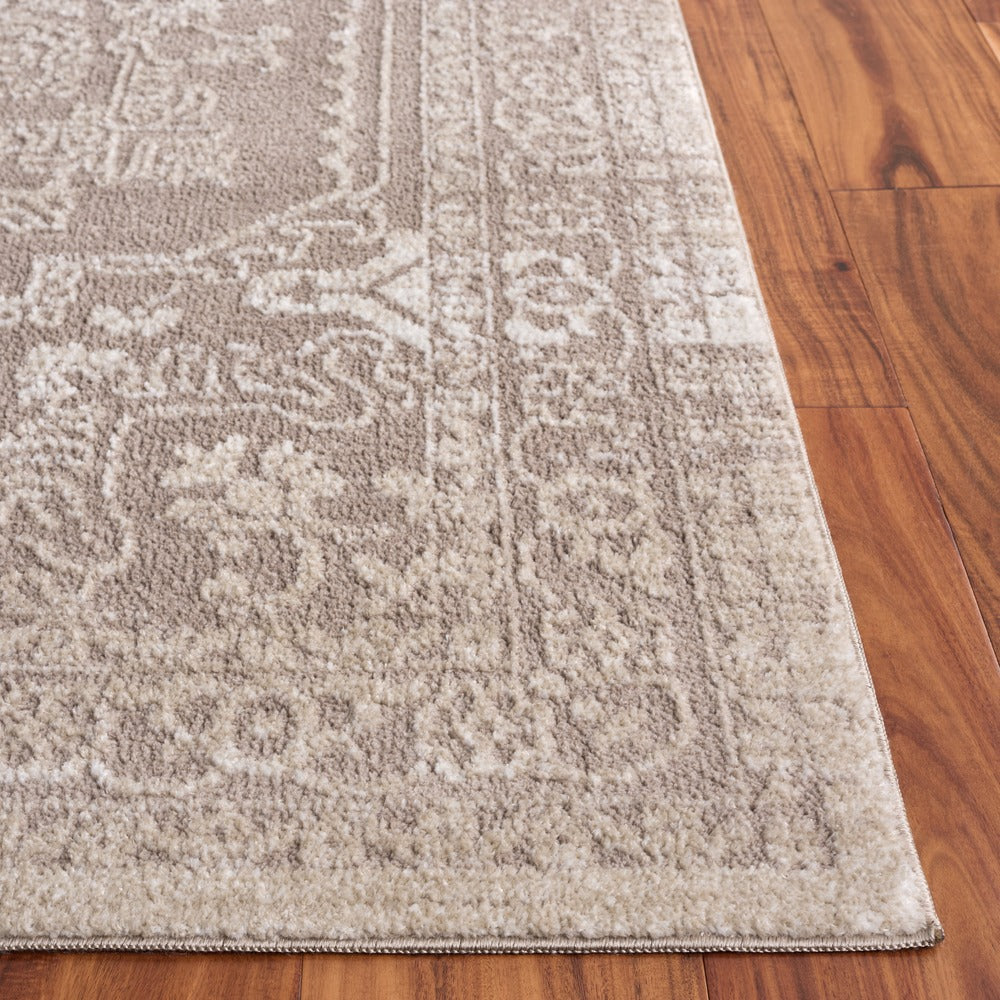 Safavieh - Chamber 210B Beige / Ivory - 9" X 12" - CHM210B-9 view 3