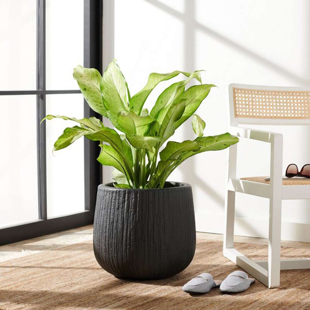 Safavieh - Francia Planter - Grey - PAT1523A veiw 2