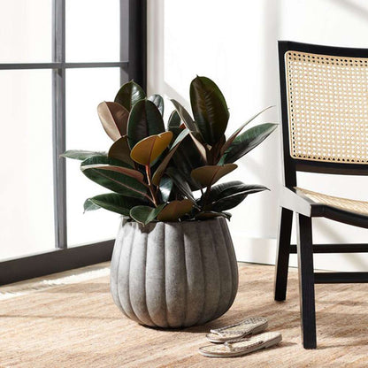 Safavieh - Kaston Planter - Grey - PAT1522A veiw 2