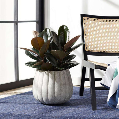 Safavieh - Kaston Planter - Grey - PAT1522B veiw 2