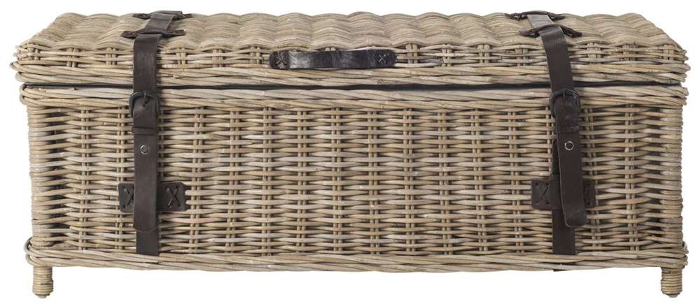 Safavieh - Navarro Coffee Table Trunk - Grey - SEA7022B veiw 1