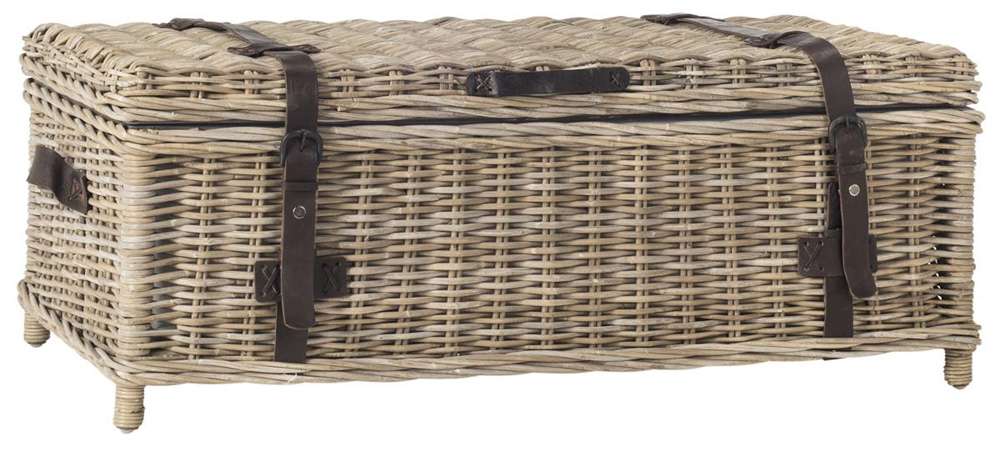Safavieh - Navarro Coffee Table Trunk - Grey - SEA7022B veiw 3