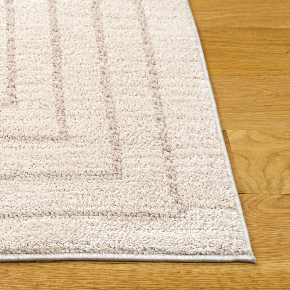 Safavieh - Neptune 876A Ivory / Grey - 5.3" X 7.6" - NPE876A-5 view 3