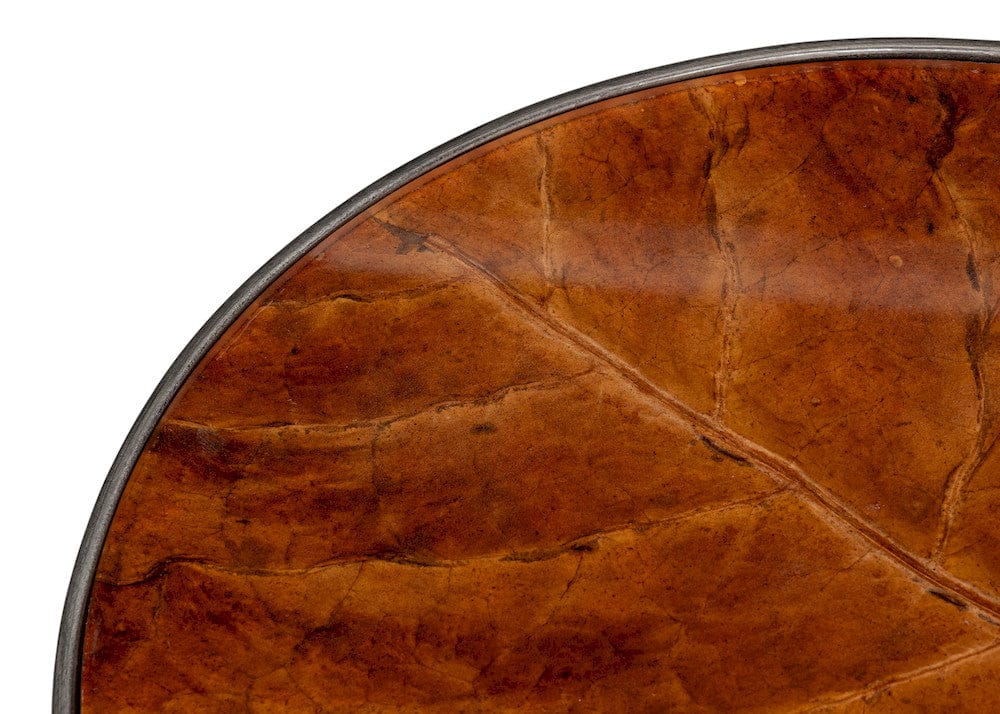 Sarreid Ltd - Brightleaf Table in Brown - 54299 view 5