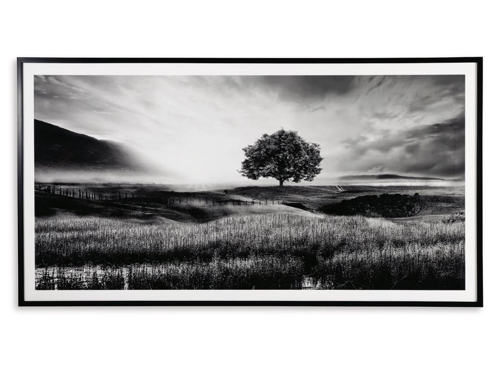 Signature Design by Ashley - Deborland Wall Art in Black/White - A8000341 veiw 1