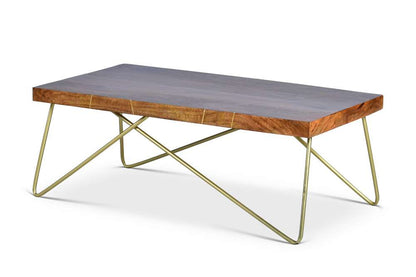 Steve Silver - Walter Brass Inlay Cocktail Table - WT300C veiw 3