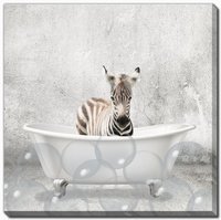 Streamline Art - Baby Zebra Bath - CE331-1818 view 1