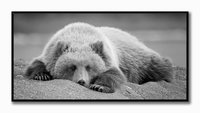 Streamline Art - Bedroom Eyes - AFF13556 view 1