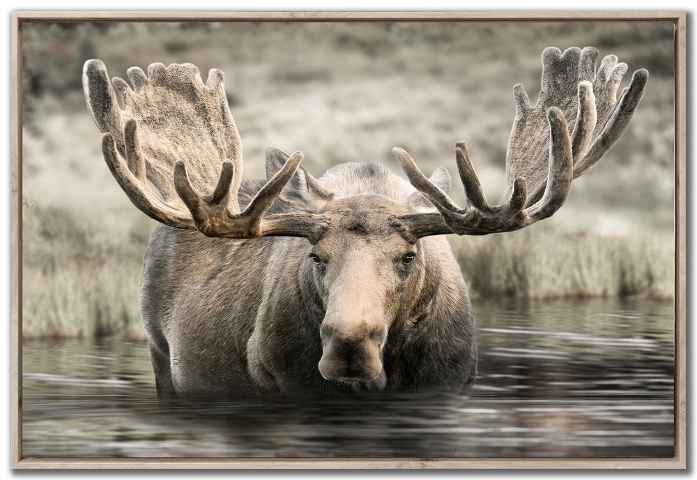 Streamline Art - Moose Hot Springs - WBG24321 view 1