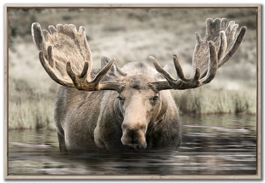 Streamline Art - Moose Hot Springs - WBG24321 view 1