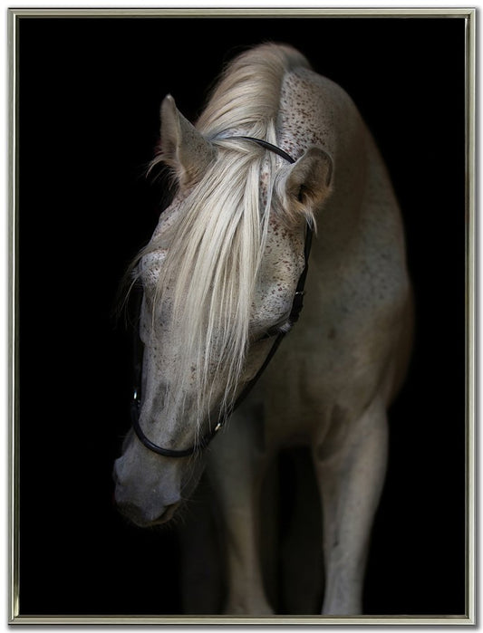 Streamline Art - Mystical Horse - WBG24331 view 1