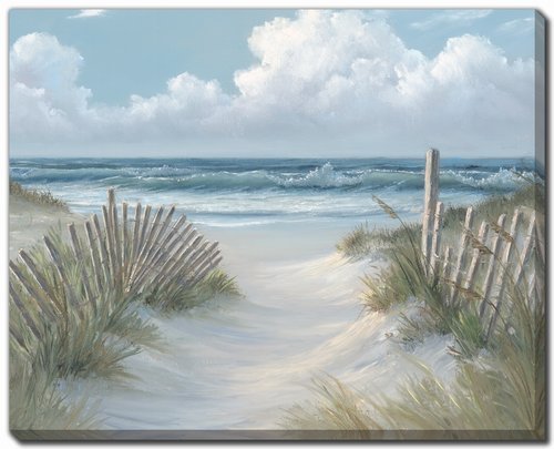 Streamline Art - Pathway Through Dunes - CE389-1620 view 1