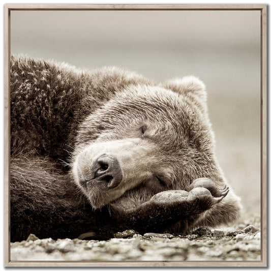 Streamline Art - Sleeping Bear - WBG24328 view 1