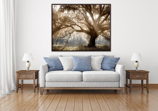Streamline Art - Virginia Oak - WBG24332 view 2