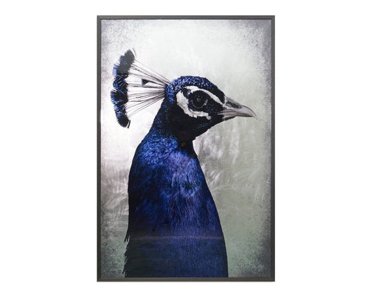 Sunpan - The Peacock - 48in X 72in - Charcoal Frame - A0262 view 1