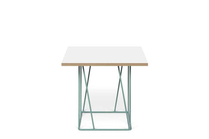 TEMAHOME - Helix 20x20 Side Table  in Pure White & Plywood / Sea Green Lacquered Steel  - 9500626821 veiw 1