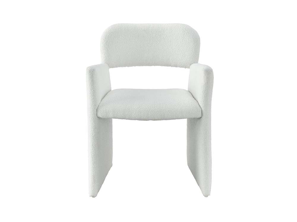 Universal Furniture - Morel Arm Chair - U195635 veiw 1