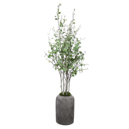 Uttermost - Aldis Potted River Birch - 60146 veiw 1