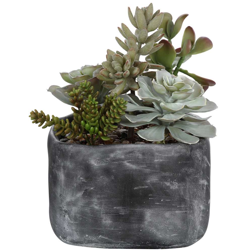 Uttermost - Alverio Desert Garden Succulents - 60173 veiw 1