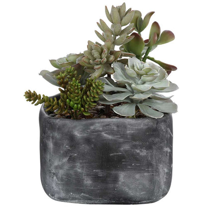 Uttermost - Alverio Desert Garden Succulents - 60173 veiw 1