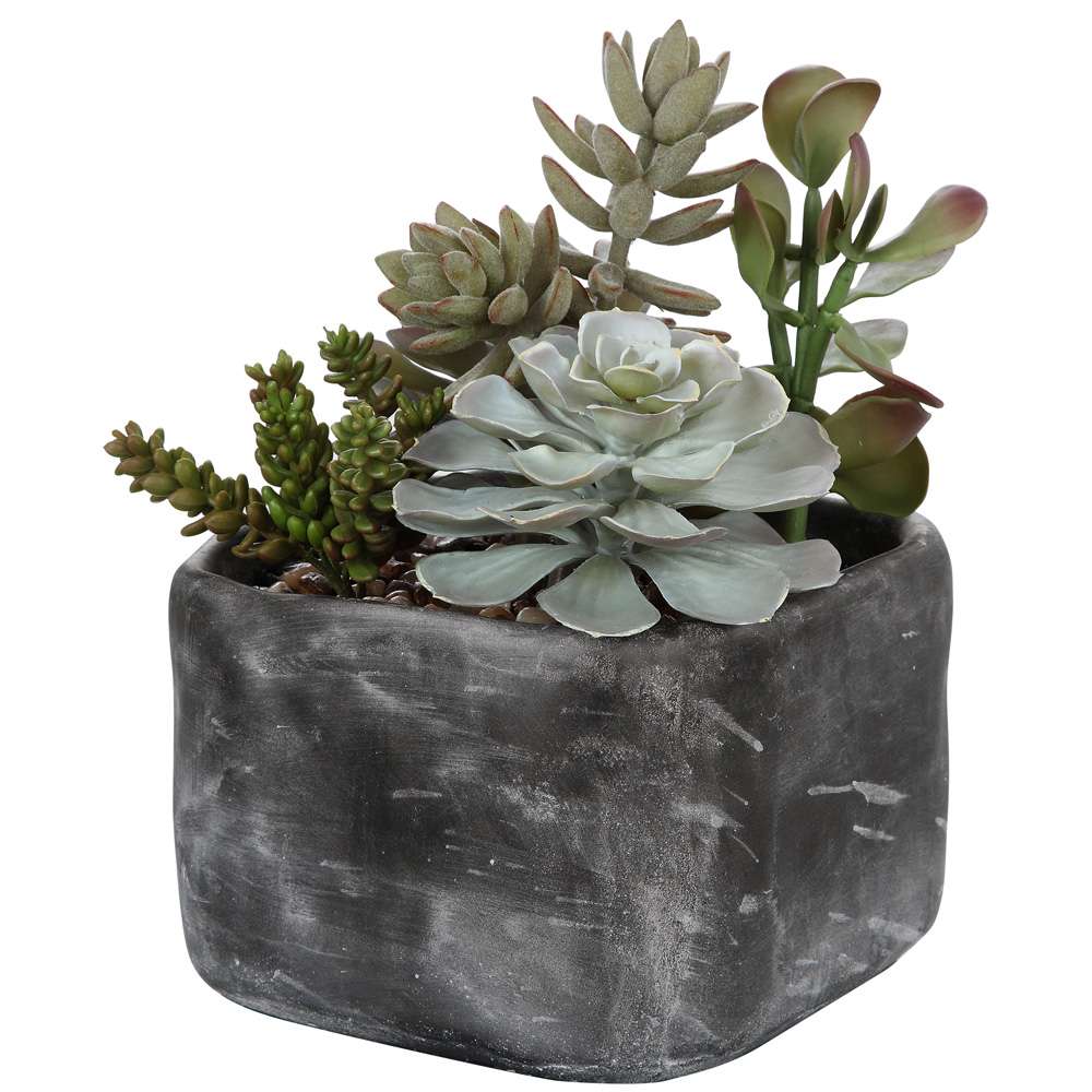 Uttermost - Alverio Desert Garden Succulents - 60173 veiw 3