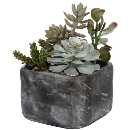 Uttermost - Alverio Desert Garden Succulents - 60173 veiw 3