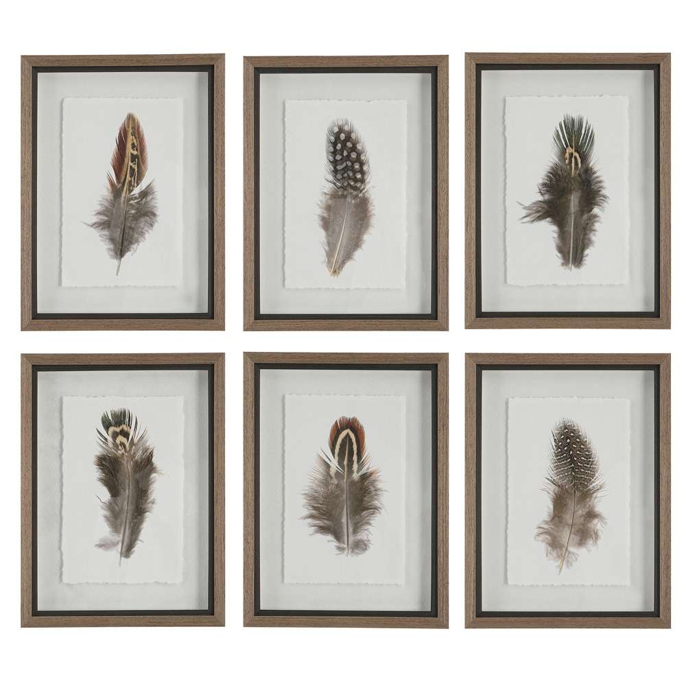 Uttermost - Birds Of A Feather Framed Prints, Set of 6 - 41460 veiw 1