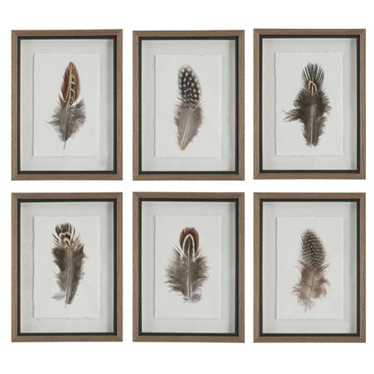 Uttermost - Birds Of A Feather Framed Prints, Set of 6 - 41460 veiw 1