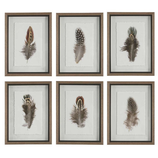 Uttermost - Birds Of A Feather Framed Prints, Set of 6 - 41460 veiw 1