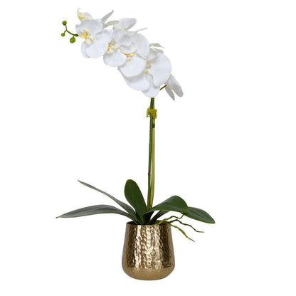 Uttermost - Cami Orchid With Brass Pot - 60189 veiw 1