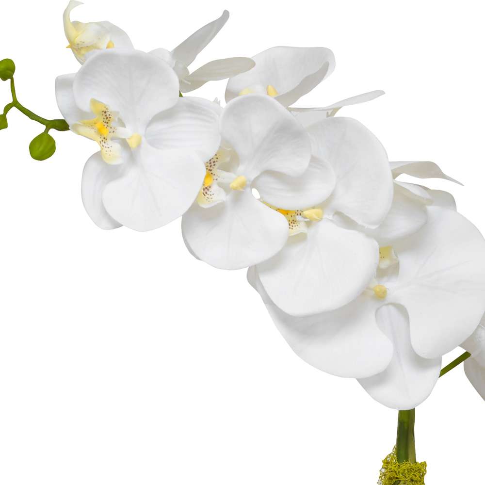 Uttermost - Cami Orchid With Brass Pot - 60189 veiw 3