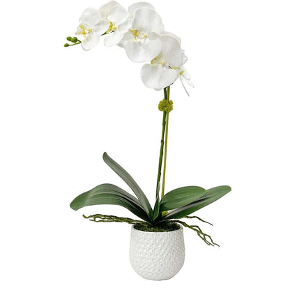 Uttermost - Cami White Orchid - 60178 veiw 1