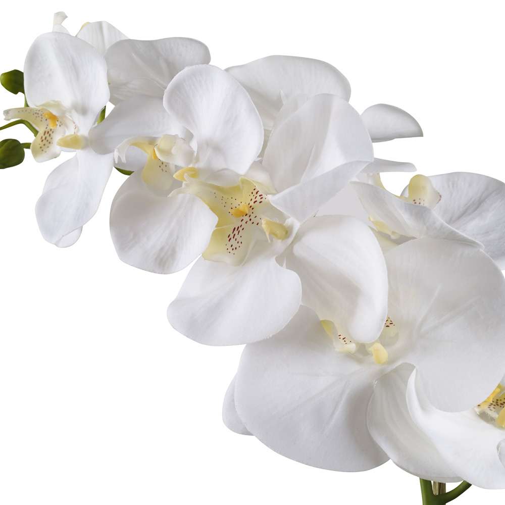 Uttermost - Cami White Orchid - 60178 veiw 3