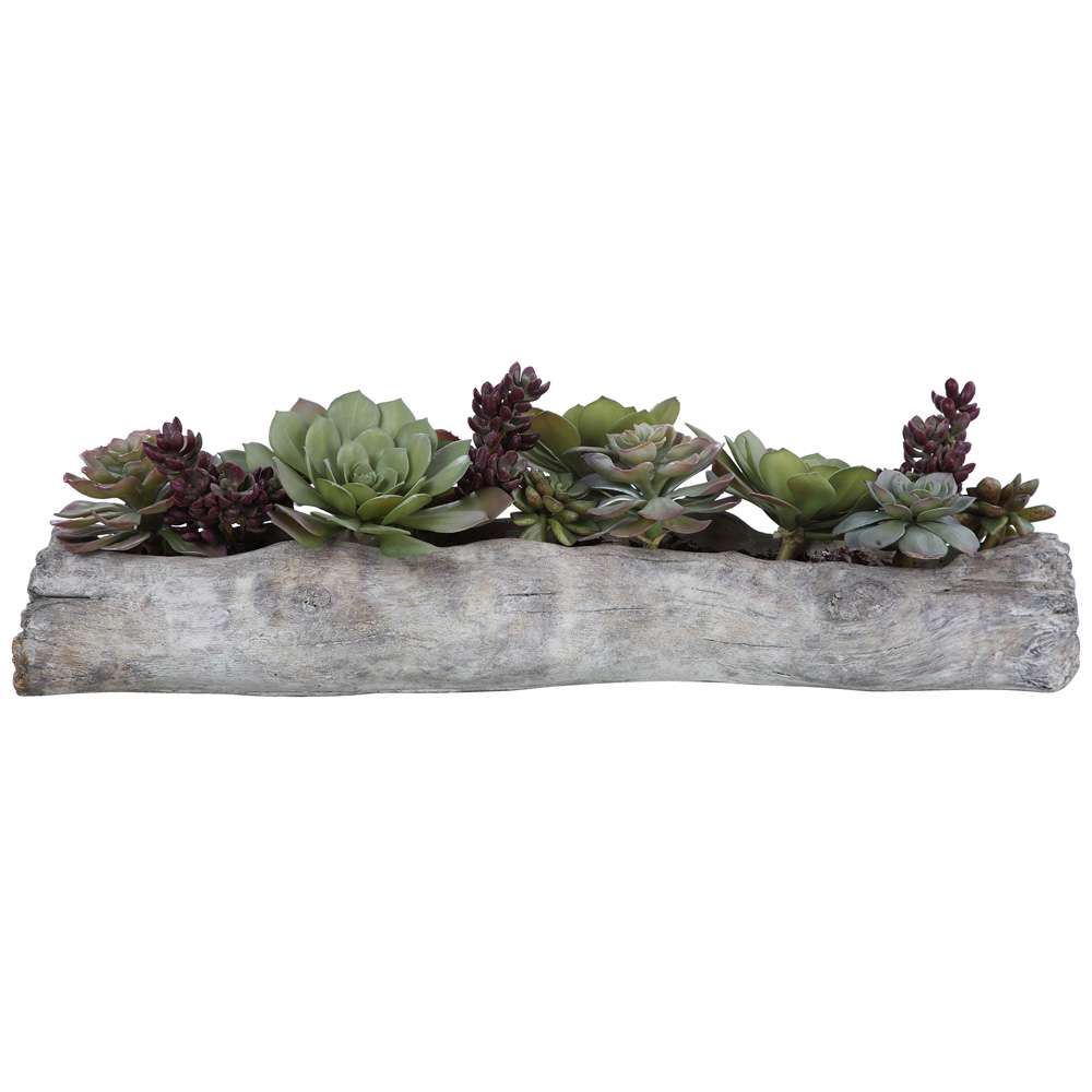 Uttermost - Charita Lush Succulents - 60174 veiw 1