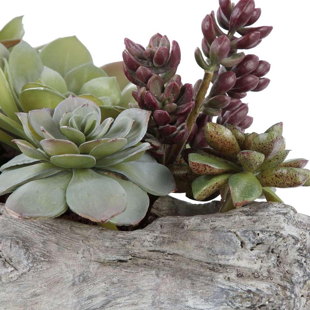 Uttermost - Charita Lush Succulents - 60174 veiw 3