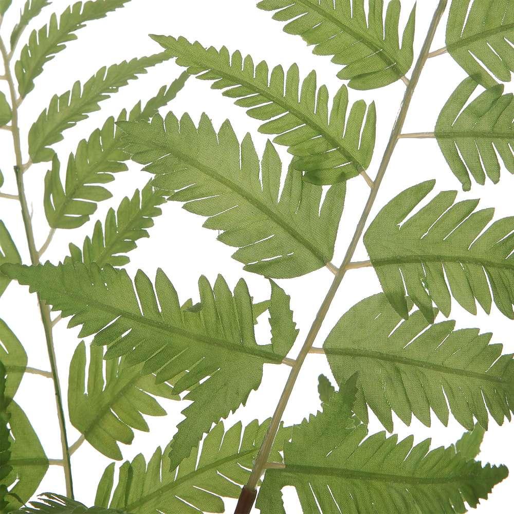 Uttermost - Country Ferns (Set of 2) - 60202 veiw 2