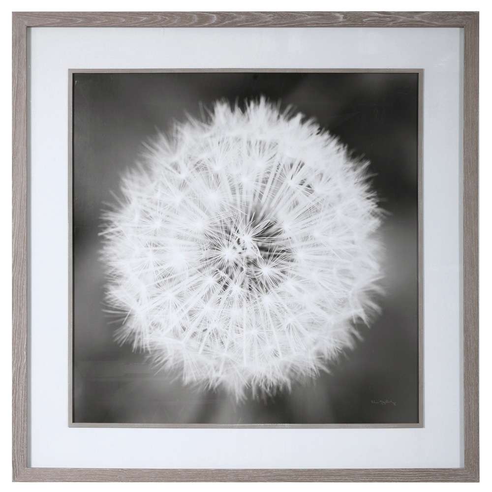Uttermost - Dandelion Seedhead Framed Print - 33711 veiw 1