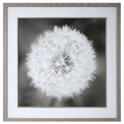 Uttermost - Dandelion Seedhead Framed Print - 33711 veiw 1