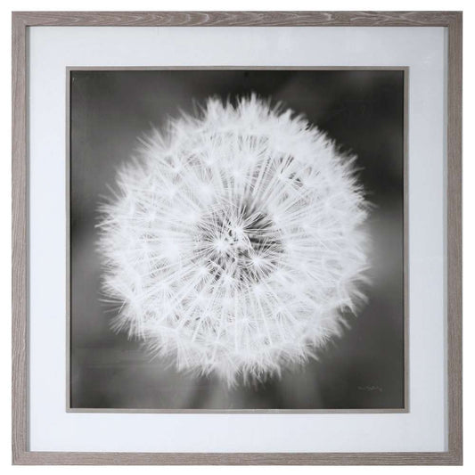 Uttermost - Dandelion Seedhead Framed Print - 33711 veiw 1