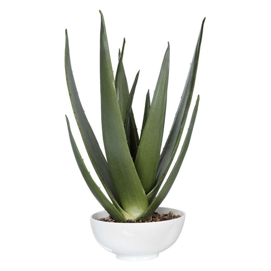 Uttermost - Evarado Aloe Planter - 60177 veiw 1