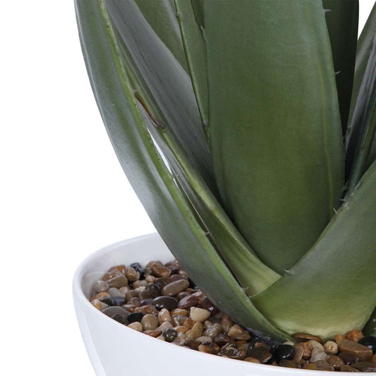 Uttermost - Evarado Aloe Planter - 60177 veiw 2