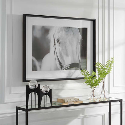 Uttermost - Eyes On The Prize Framed Print - 41464 veiw 3