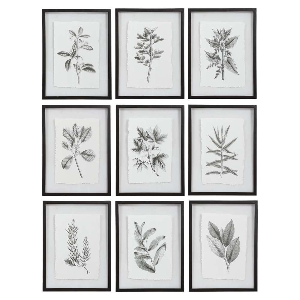 Uttermost - Farmhouse Florals Framed Prints, Set of 9 - 41617 veiw 1