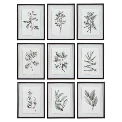 Uttermost - Farmhouse Florals Framed Prints, Set of 9 - 41617 veiw 1