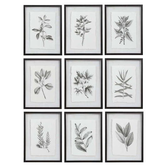 Uttermost - Farmhouse Florals Framed Prints, Set of 9 - 41617 veiw 1