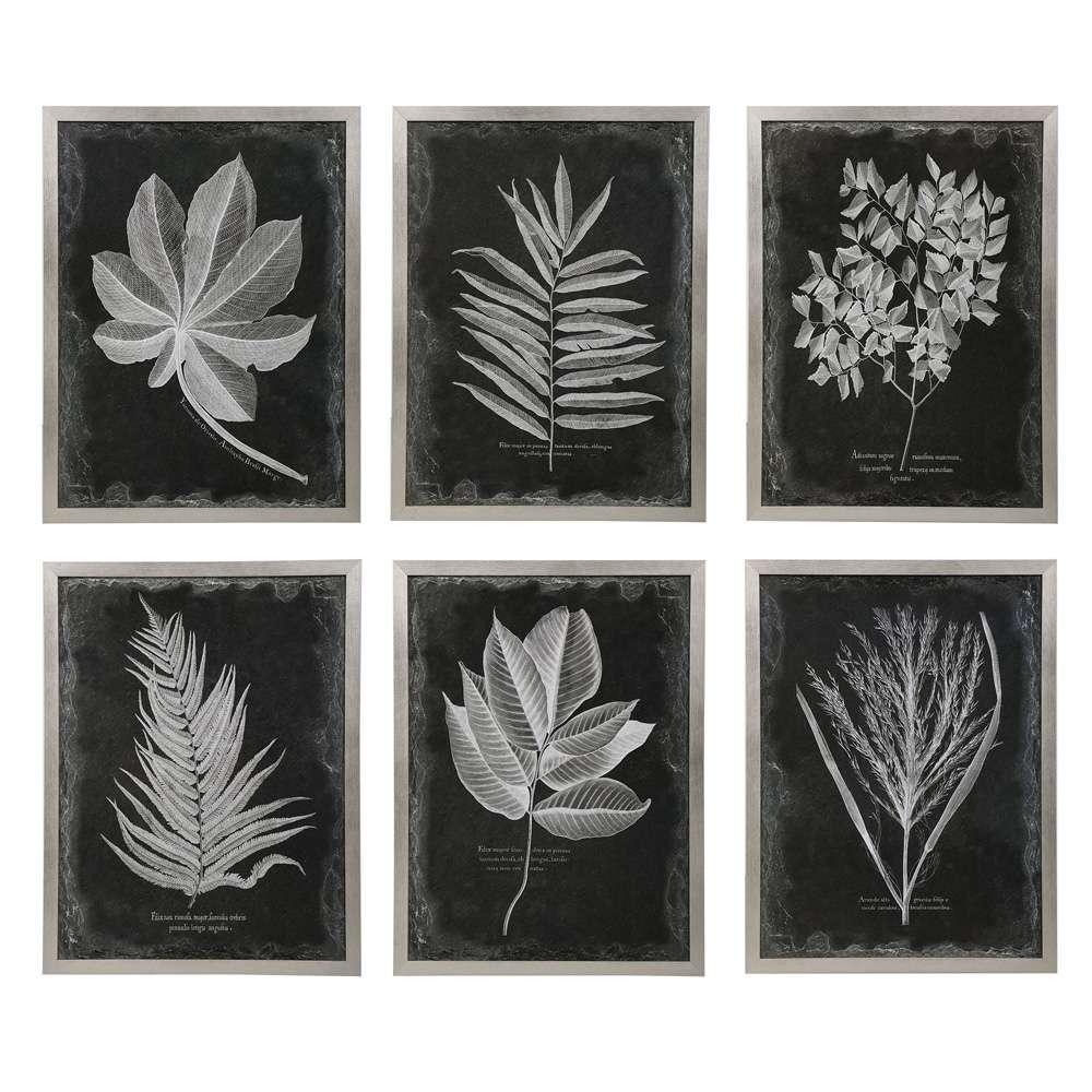 Uttermost - Foliage Framed Prints, Set of 6 - 33671 veiw 1