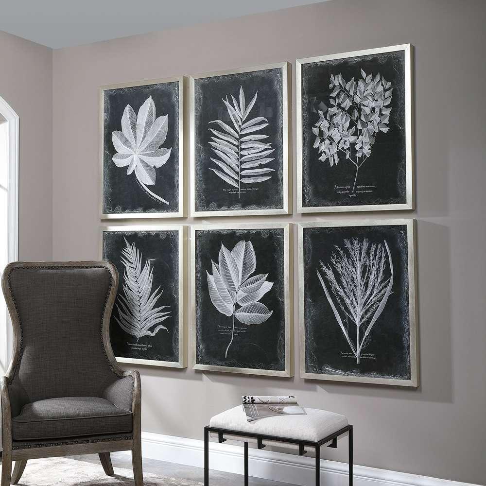 Uttermost - Foliage Framed Prints, Set of 6 - 33671 veiw 2