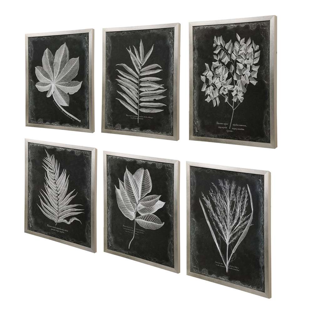 Uttermost - Foliage Framed Prints, Set of 6 - 33671 veiw 3